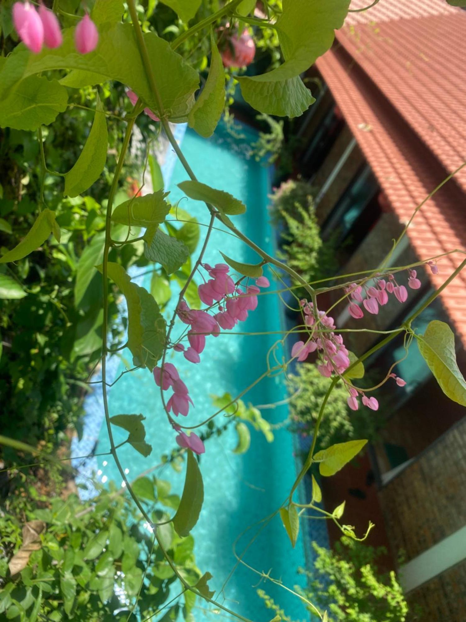 Sunshine Villa Thuy Bieu Huế Kültér fotó