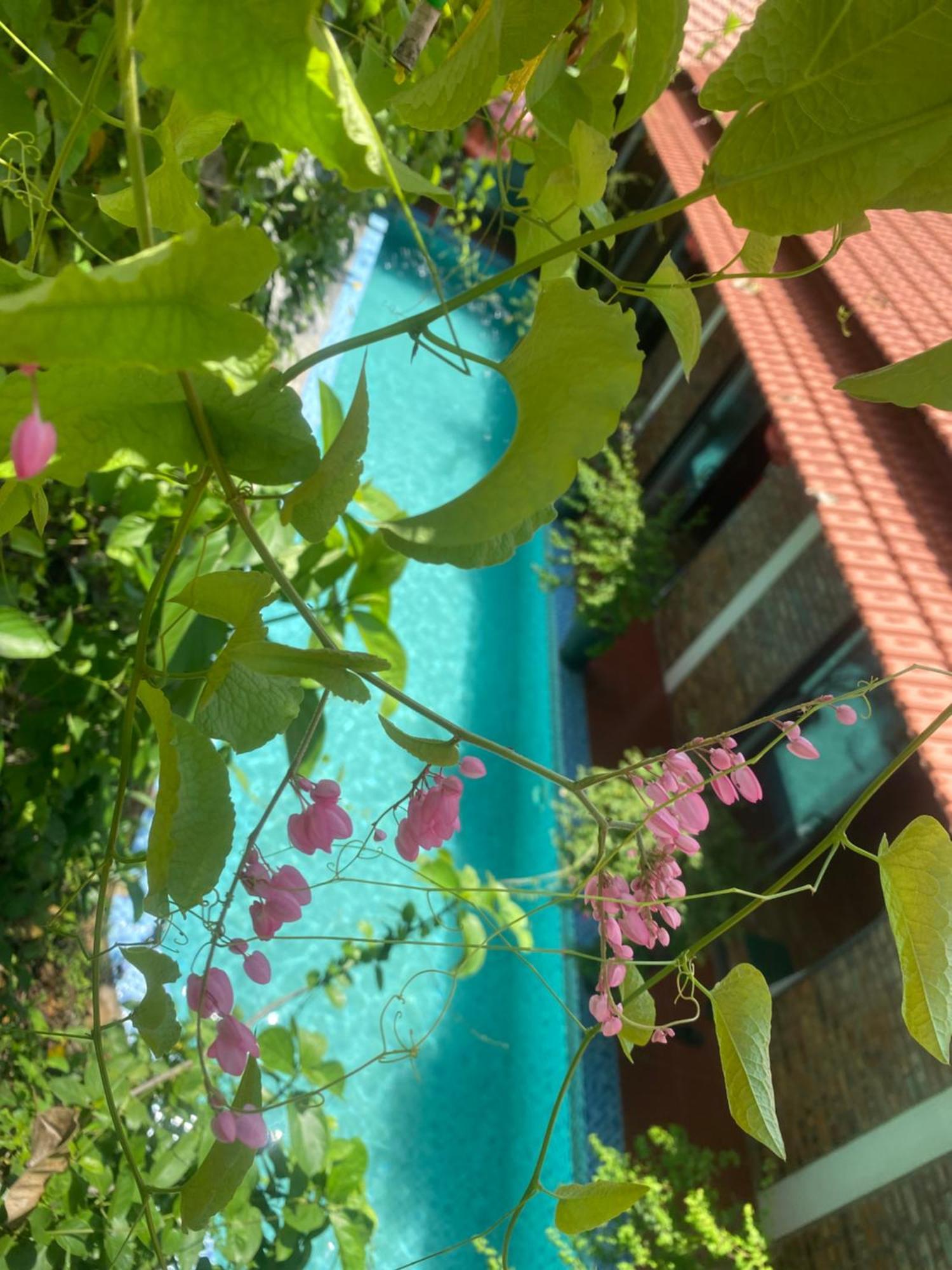 Sunshine Villa Thuy Bieu Huế Kültér fotó