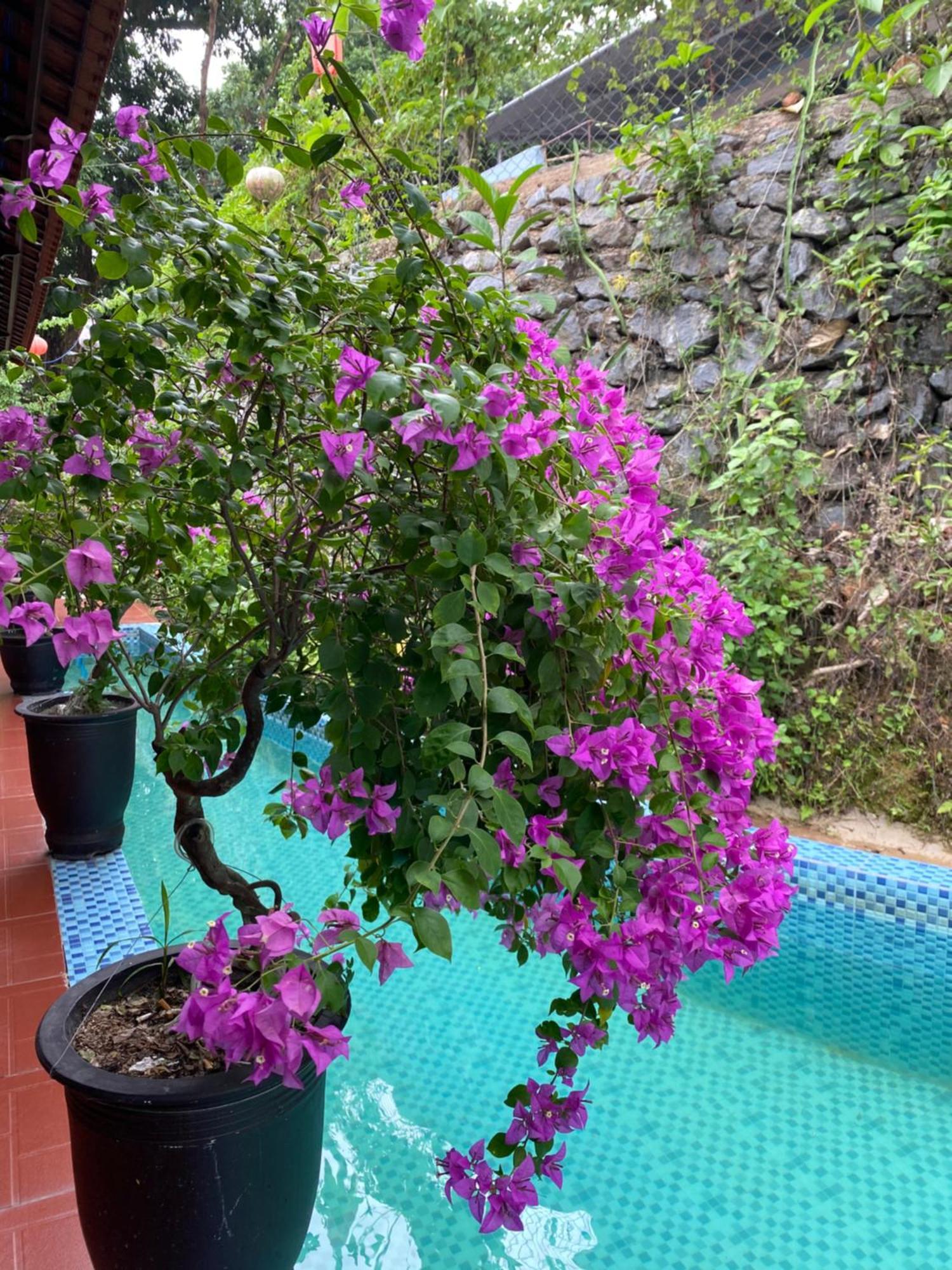Sunshine Villa Thuy Bieu Huế Kültér fotó